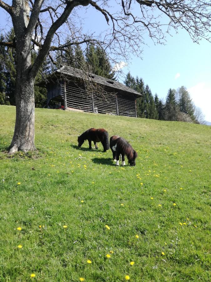 Haus Oswald Am See Hermagor-Pressegger See Esterno foto